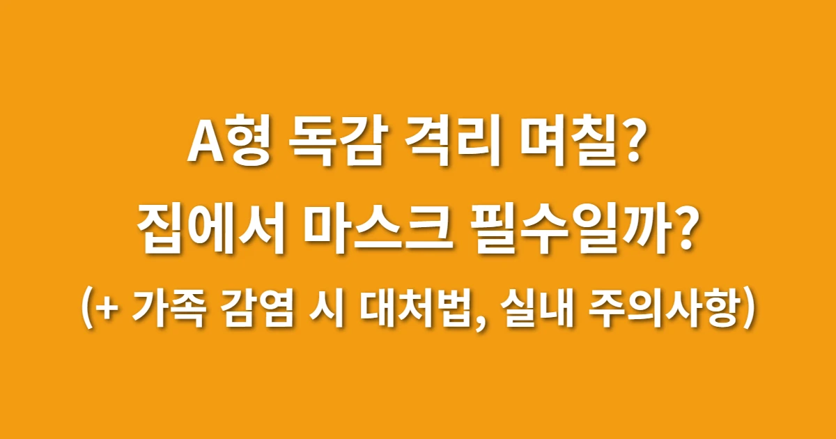 A형 독감 격리 기간 며칠? 집에서 마스크 착용 필수일까 (+ 가족 감염 시 대처법, 실내 주의사항) 관련 썸네일