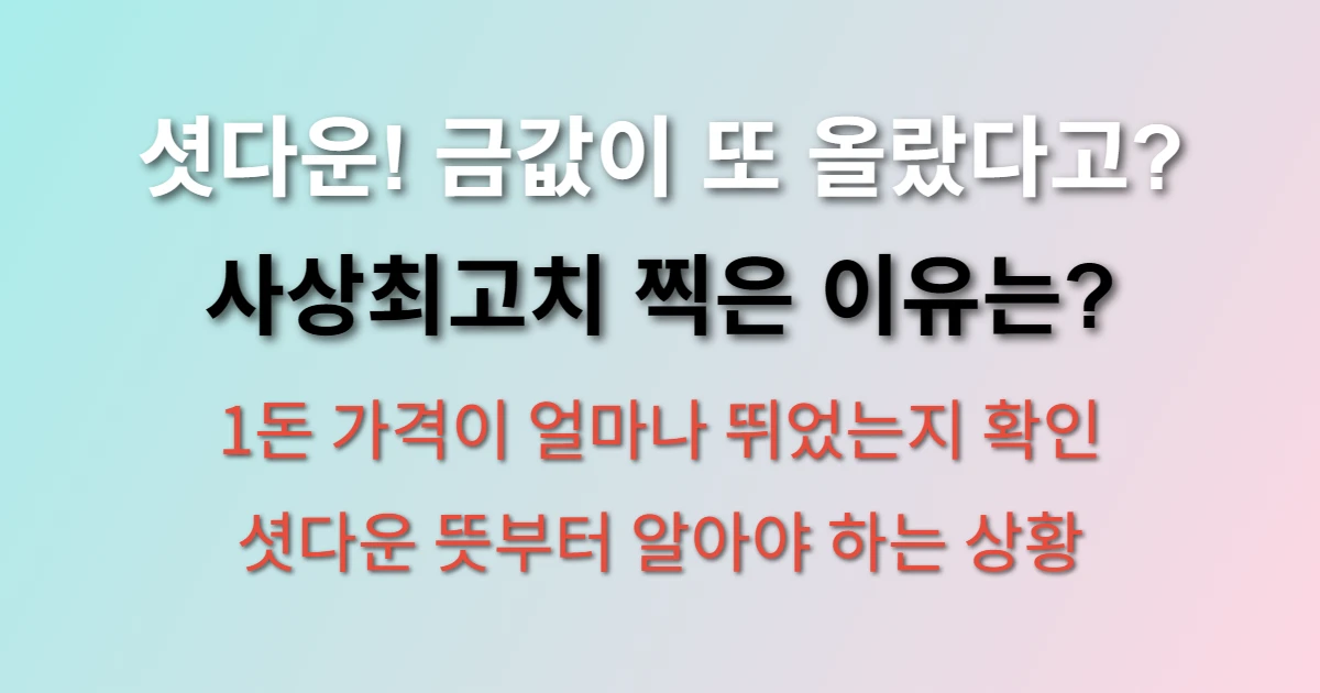 미국 셧다운 영향으로 금시세 급등한 진짜 원인이 뭘까 (+사상최고치, 1돈가격, 셧다운 뜻)