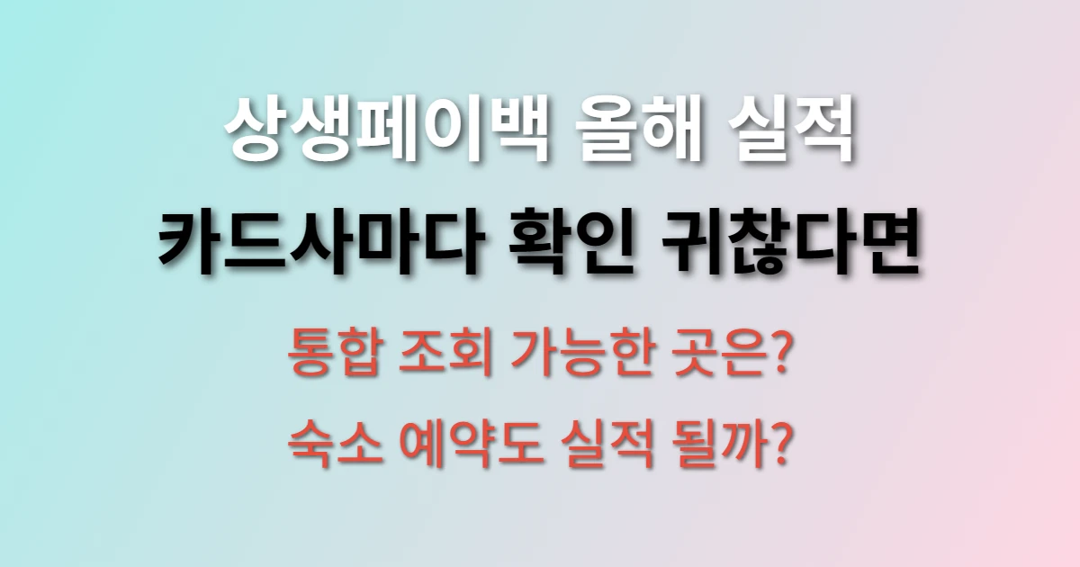 상생페이백 올해 실적 한번에 조회하는 방법 (+ 숙소 예약 적용 여부)