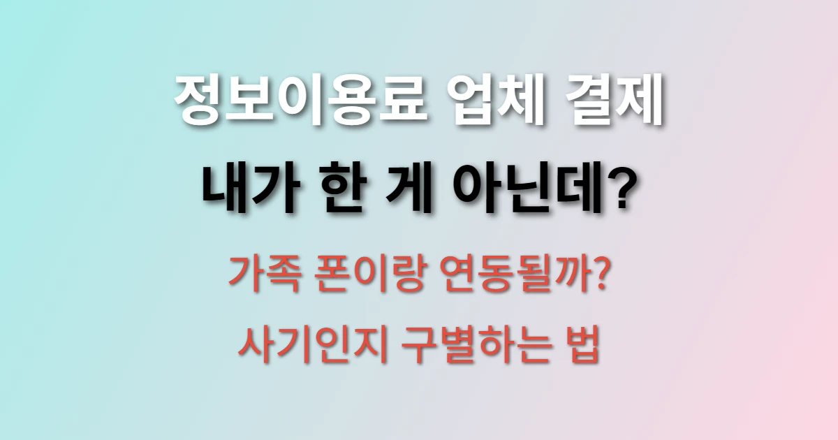 정보이용료 업체 의심스러운 결제 내역 확인법 (+ 사기 구별하는 방법)